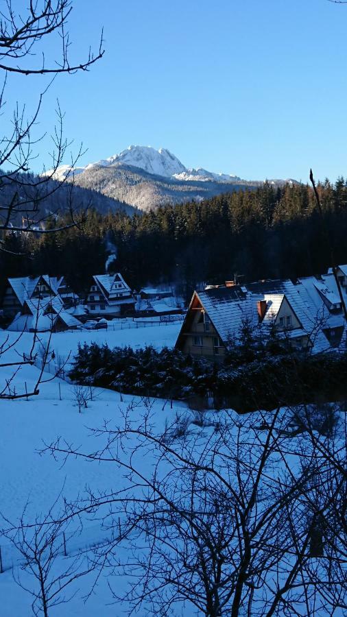 Hostel & Apartments U Florka 2 Zakopane Exterior photo